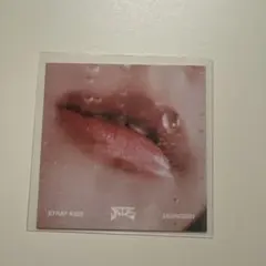 straykids スキズ スンミン ATE リップカード