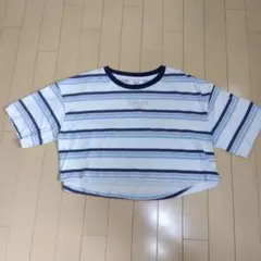 Pink Latte EPICS ショート丈ストライプTシャツ