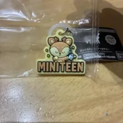 SEVENTEEN MINITEEN ジョシュア　目印チャーム　おまけ付き