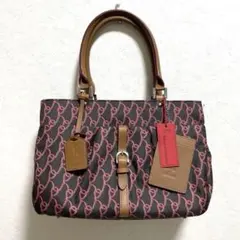 訳有　新品　ROBERTA DI CAMERINO　パスケース付き　ハンドバッグ