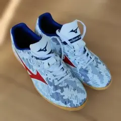 Item thumbnail for item 617d2c73-95de-4de6-862f-06e4a70069f4