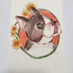 鼻をなめるボストンテリア
