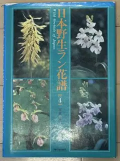 日本野生ラン花譜 4 高橋勝雄 毎日新聞社 - メルカリ