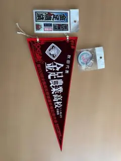 第71回 全国高校野球 上宮高校 初出場 ペナント - メルカリ