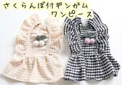 さくらんぼ付きギンガムワンピース 犬服　猫服　小型犬　ペット服　ドッグウェア