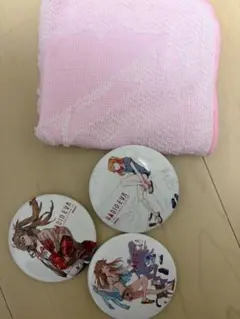 RADIO EVA アスカ ピンバッジ3個セットとタオル えゔぁ屋