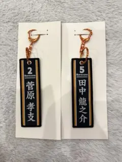 ハイキュー タイトーくじ G賞 フライトタグ 菅原孝支　田中龍之介