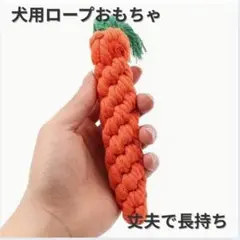 Item thumbnail for item 383cdd50-2090-457c-bbe1-c17e62ca8bc4