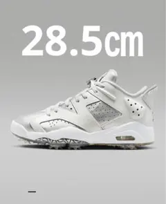 山*郎様 ジョーダン6 レトロ GOLF NRG FD6719-001 ゴルフシ