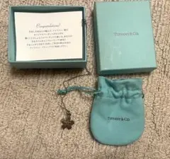 2025年最新】名古屋ウィメンズマラソンティファニー2015の人気