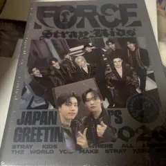 Stray Kids FORCE シーグリ リノ ハン 特典