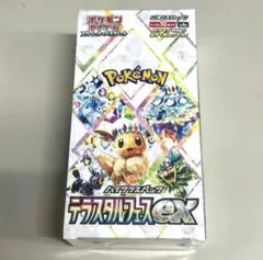 ポケモンカード テラスタルフェスex 1box分 10パック