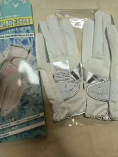 Item thumbnail for item a5edf55d-ab18-4340-8e9e-17e8aa39ef38