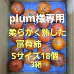 plum様専用 柔らかく熟した柿　富有柿　Sサイズ18個 3箱