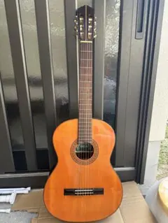 2025年最新】dia ギター araiの人気アイテム - メルカリ