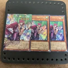 遊戯王 ハーピィ・レディ華麗なる分身 3枚セット