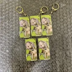 原神 ナヒーダ アクリルキーホルダー アクキー 5点 公式正規品