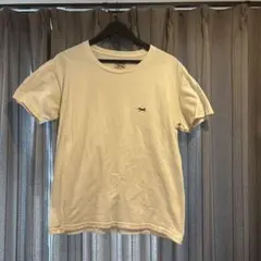 ホワイト Tシャツ ロゴ刺繍付き