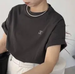 カプリシューレマージュ　LE'MAGE ワンポイントＴシャツ　チャコール　綿のサムネイル