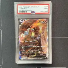 2026年最新】エンテイ sar psa10の人気アイテム - メルカリ