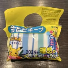 ポケモン ペットボトルカバー 2024年製