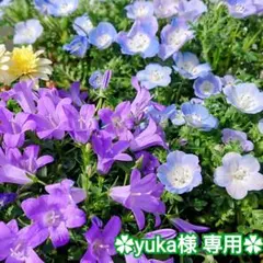yuka様 不足分 ご確認用