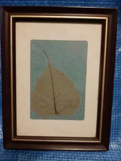 2026年最新】葉脈標本の人気アイテム - メルカリ