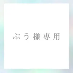 ぶう様 専用出品