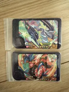 ポケモンフレンダ　ミライドン　コライドン　2枚セット