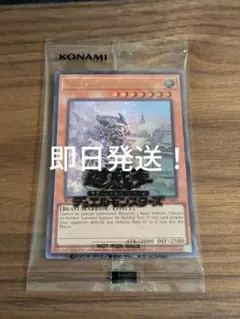 PSA10】 ドン!!カード(カイドウにアッパーを入れるルフィ) - メルカリ