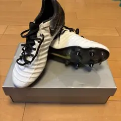 Item thumbnail for item 9769b14b-294c-48f9-b1d7-70a1f49ccce3