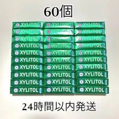 ロッテ キシリトールガム フレッシュミント 66コ LOTTE XYLITOL - メルカリ