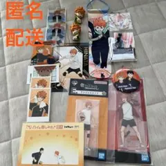 ハイキュー‼︎日向翔陽まとめ16点セット