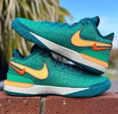 希少 海外限定 NIKE ZOOM LEBRON レブロン 28CM NBA Nike ZOOM LeBron NXXT GEN 28cm - メルカリ