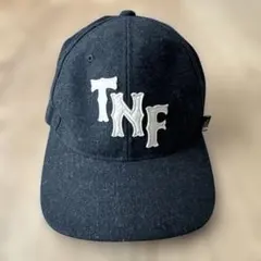 THE NORTH FACE TNF フレックスフィットキャップ