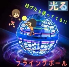 Item thumbnail for item d883e223-7dc9-41e7-ae85-f4b2e539af78