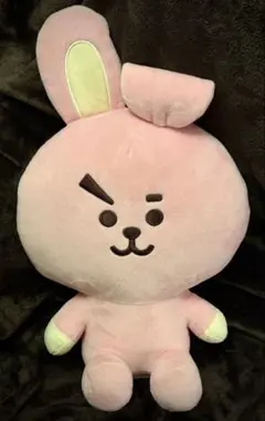 BT21 COOKY