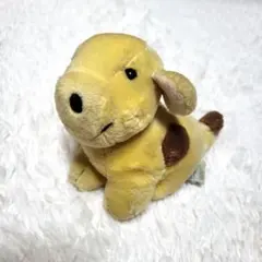EDEN TOYS エデントイズ コロちゃん スポット Spot ぬいぐるみ - メルカリ