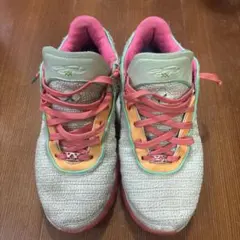 2026年最新】nike レブロン20 タイムマシーンの人気アイテム - メルカリ