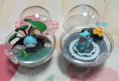 ポケモン　テラリウム　ワニノコ　メッソン　2点セット