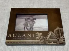 【未使用品】Hawaii アウラニ　フォトフレーム　ディズニー　KG判