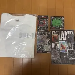 ハッピーくじ スパイダーマン　B賞 おまけ