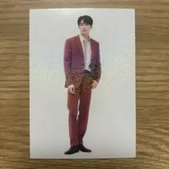 SEVENTEEN BE THE SUN JAPAN トレカ ウォヌ