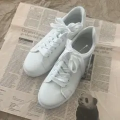 Item thumbnail for item 1a710e5c-e310-4176-af12-1d33cf0d488c