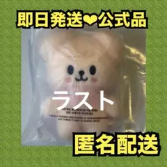 Stray Kids 　スンミン　パピーム 10cm ぬいぐるみ　Skzoo