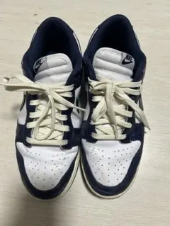 Nike DUNK LOW PRM 29cm ナイキ　ダンクロー