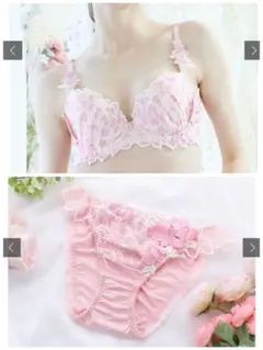 DuePerle ドゥペルル　ブラジャーショーツセット　ブラF80　ショーツLLのサムネイル