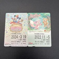 2026年最新】ディズニー リゾートライン フリーきっぷ ドナルドの人気