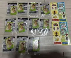 ポケモンフレンダスペシャルピック　カイリュー11枚　おまけシール付き