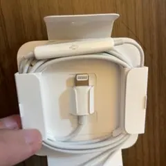 【新品 純正品 】iPhone Apple イヤホンLightning 箱無し